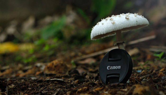 青冈疫情最新动态：掌握每一步，共同抗疫