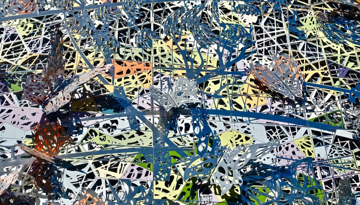 国家疫情防控局势最新：全面解读最新进展与前景展望