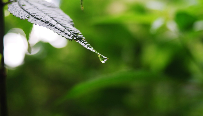 大连疫情动态最新：全面了解当前形势与防控措施