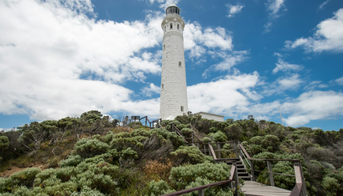 西部空港最新疫情：面对挑战，我们一起携手共进