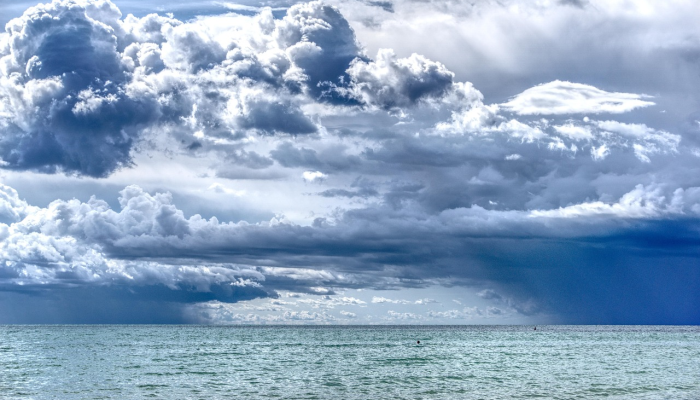 安阳疫情文件最新：你所需的全面信息与最新动态