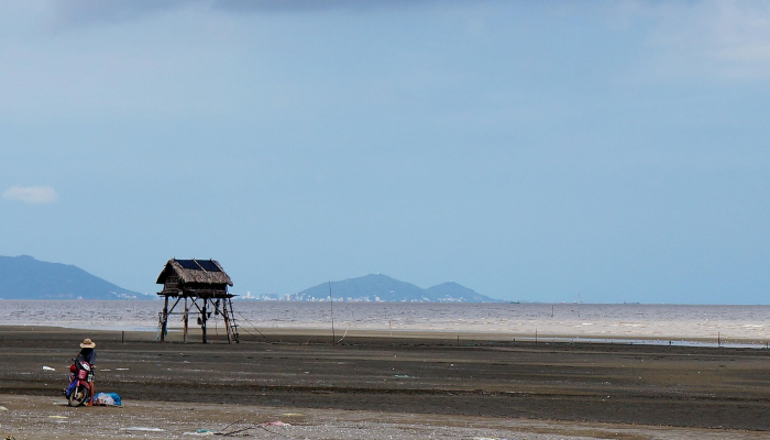 越南最新疫情岘港:你需要知道的一切 越南最新疫情岘港:你需要知道的一切