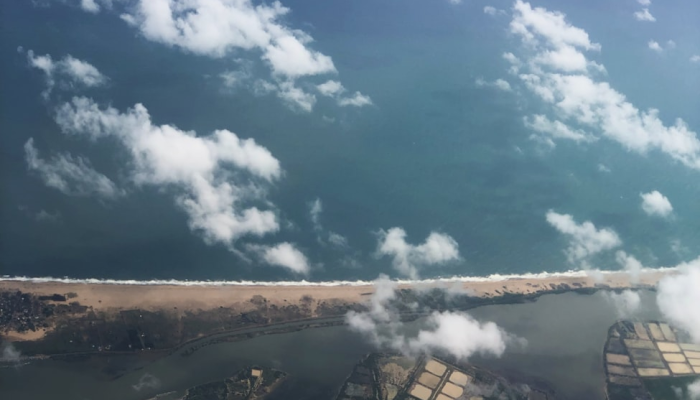 印度最新消息疫情:全球关注的焦点 印度最新消息疫情:全球关注的焦点