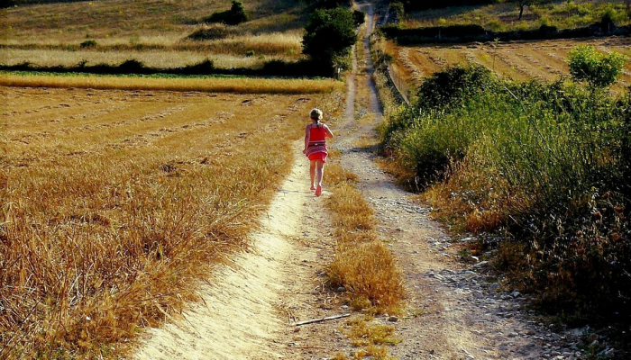 越南最新本土疫情:防疫策略与未来展望 越南最新本土疫情:防疫策略与未来展望