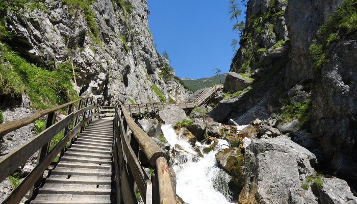 临渭疫情防控要求最新