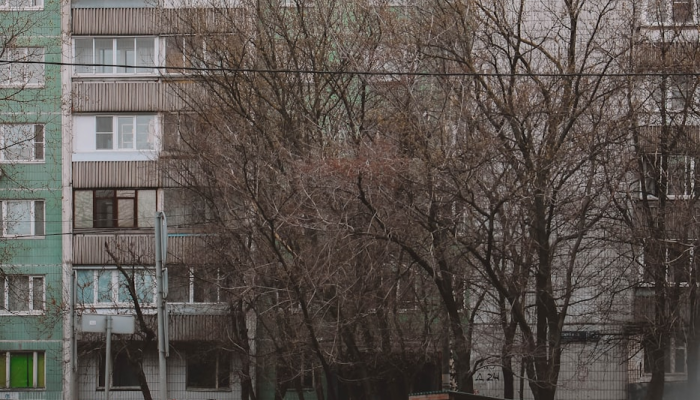 榆树市疫情图片最新:你需要了解的关键信息 榆树市疫情图片最新:你需要了解的关键信息