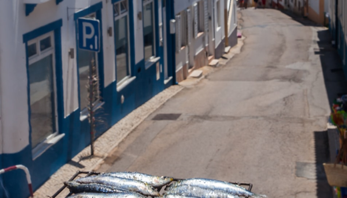 宝山张庙街道最新疫情:防疫措施与居民生活状况 宝山张庙街道最新疫情:防疫措施与居民生活状况