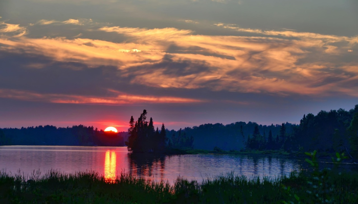 河南疫情图片最新:全面解读最新动态与防疫措施 河南疫情图片最新:全面解读最新动态与防疫措施