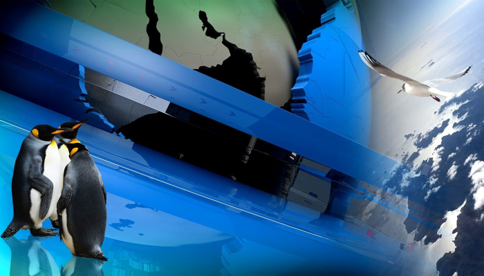 南屏西路最新通知疫情：你需要知道的关键信息