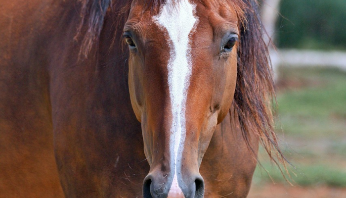 汉台疫情最新:最新动态与防护措施详解 汉台疫情最新:最新动态与防护措施详解