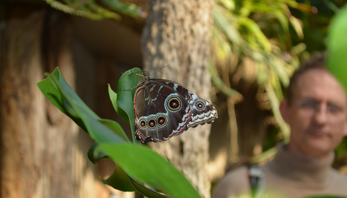 卢旺达疫情最新动态：全球卫生战线的最前沿