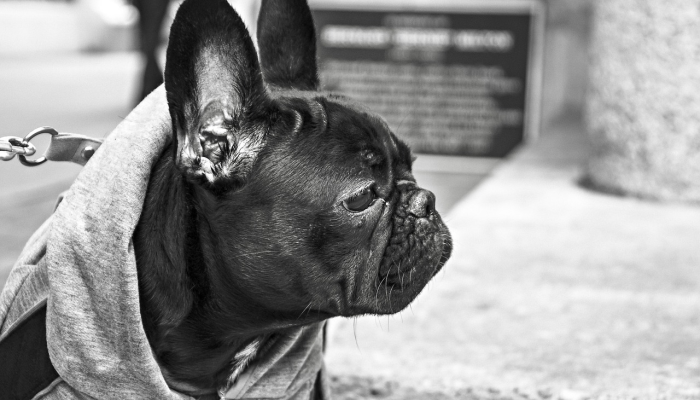 临沂郯城疫情最新进展：你关心的每一个细节