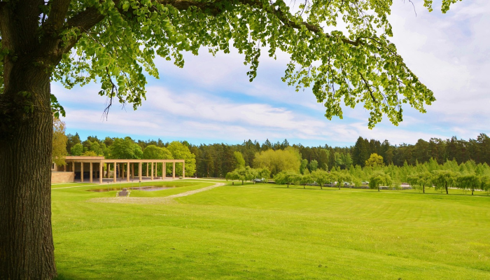 西藏动物疫情最新情况:保护生态,共建绿色家园 西藏动物疫情最新情况:保护生态,共建绿色家园