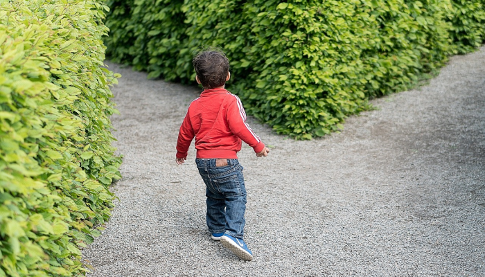 渌口县最新疫情：防疫措施与社区生活