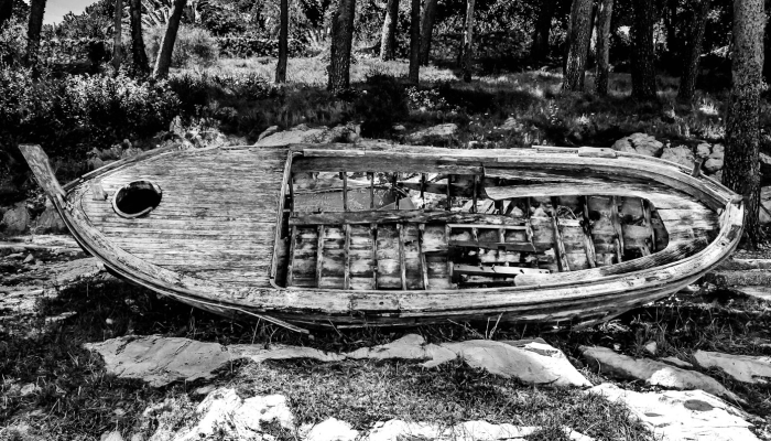 最新新增疫情地区：全球公共卫生的前沿战线